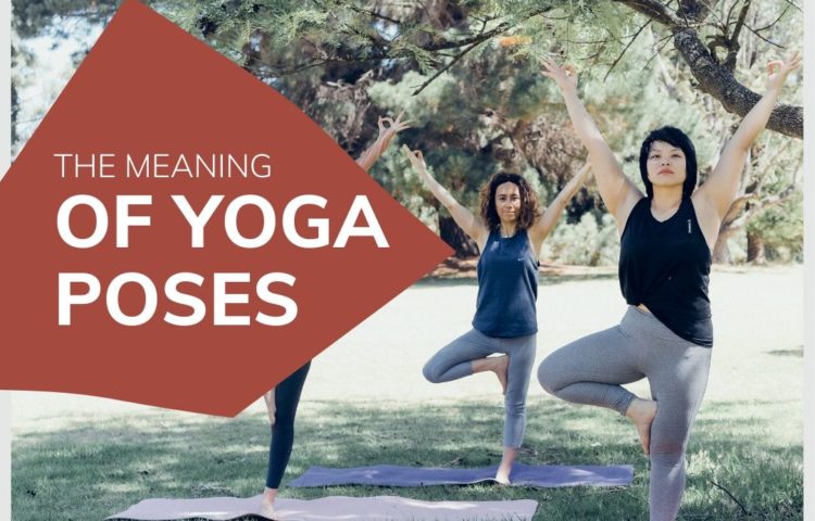 Header Meaning of Yoga Poses