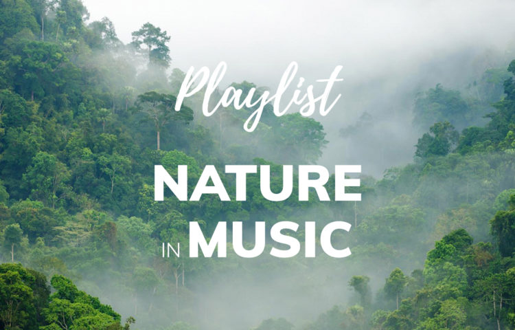 Header Nature_in_music-website