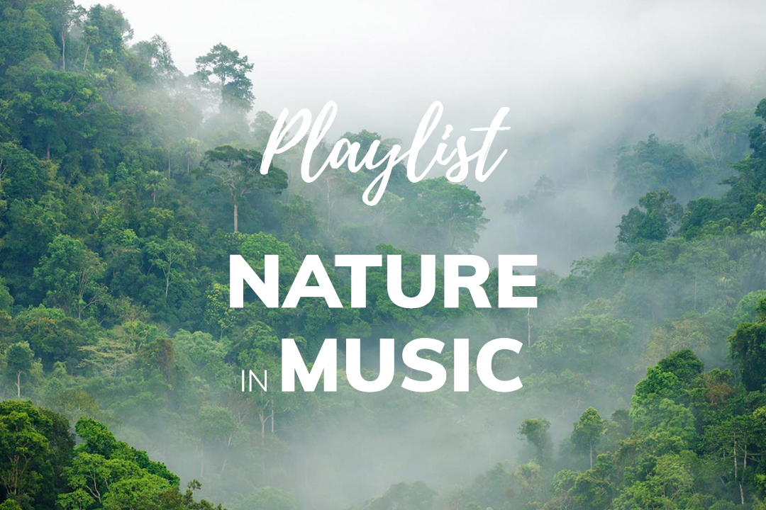 Header Nature_in_music-website