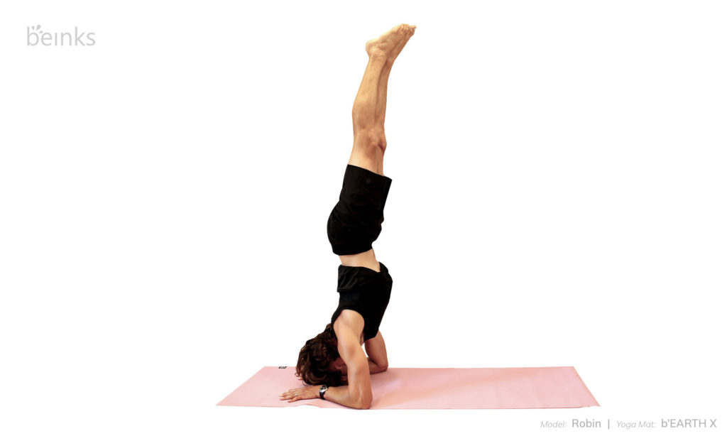 Robin - forearm balance front