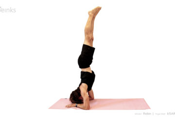 Robin - forearm balance front