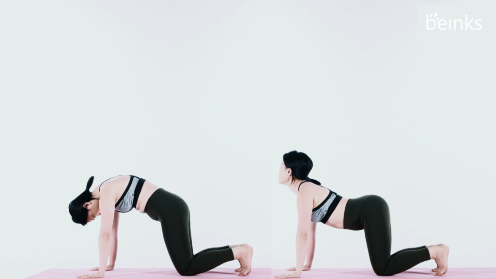 beinks – cat cow pose
