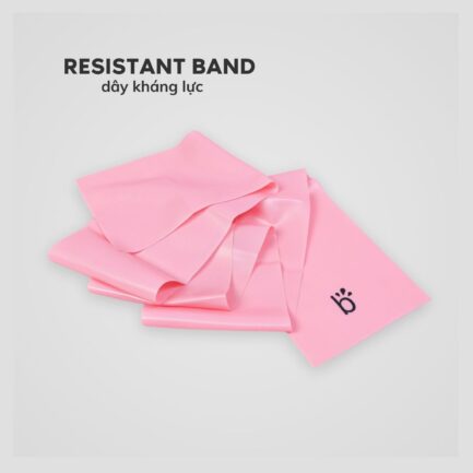 Dây tập kháng lực - Beinks resistant band